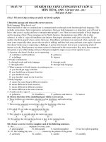 ĐỀ KIỂM TRA CHẤT LƯỢNG BÁN KỲ I LỚP 12 MÔN TIẾNG ANH NĂM HỌC 2010 – 2011 - Mã đề:745 ppt