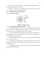 Luận văn : Xác định các thành phần chủ yếu trong cà phê nhân, tạo chế phẩm Biocoffee-1 với hoạt tính cao của pectinase và cellulase part 2 ppsx