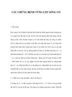 CÁC CHỨNG BỆNH VÙNG CỘT SỐNG CỔ pot