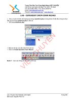BÀI GIẢNG LAB - DEPENDENT-DROPDOWN-NEWS doc