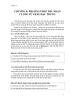 Giáo trình -công nghệ di truyền - chương 8 doc