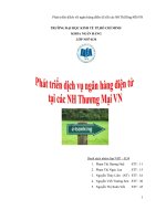 Khóa luận Thực trạng của cán cân thanh toán của Việt Nam