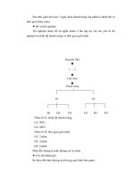 Đề tài : KHẢO SÁT CÁC YẾU TỐ ẢNH HƯỞNG ĐẾN CHẤT LƯỢNG CỦ CẢI TRẮNG MUỐI CHUA part 5 potx