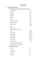 Luận văn : NGHIÊN CỨU ĐẶC ĐIỂM SINH TRƯỞNG VÀ PHÁT TRIỂN CỦA VI KHUẨN Lactobacillus sporogenes part 6 pot