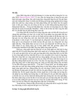 Tiểu luận côn trùng học