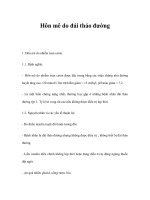 Hôn mê do đái tháo đường pdf