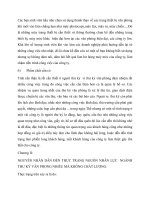 Báo cáo thực tập : Thực trạng và những giải pháp phát triển nguồn nhân lực cho ngành thư ký, tránh tình trạng nhiều mà không chất lượng part 6 doc