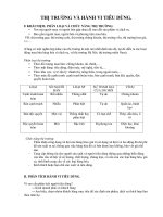 THỊ TRƯỜNG VÀ HÀNH VI TIÊU DÙNG ppt