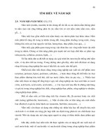 Luận văn : Xác định các thành phần chủ yếu trong cà phê nhân, tạo chế phẩm Biocoffee-1 với hoạt tính cao của pectinase và cellulase part 4 pdf