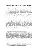 Giáo trình -công nghệ di truyền - chương 6 docx