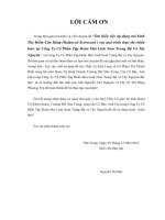 tìm hiểu việc áp dụng mô hình thẻ điểm cân bằng (balaced scorecard) vào quá trình thực thi chiến lược tại công ty cổ phần tập đoàn mai linh nam trung bộ và tây nguyên