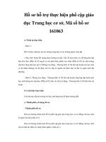 Hồ sơ hỗ trợ thực hiện phổ cập giáo dục Trung học cơ sở, Mã số hồ sơ 161063 ppsx