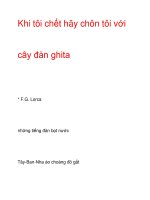 Khi tôi chết hãy chôn tôi vớicây đàn ghita pot