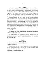 một số đặc điểm lâm sàng, cận lâm sàng của đau trên bệnh nhân ung thư giai đoạn cuối