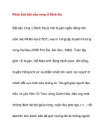 Phân tích bắt sấu rừng U Minh Hạ pps