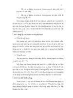Luận văn : Nghiên cứu sản xuất acid acetic theo phương pháp lên men nhanh bằng nguồn nguyên liệu tự nhiên part 3 docx