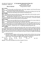 Đề thi học sinh giỏi tỉnh Bà Rịa vũng Tàu môn hóa học lớp 9 năm 2008 doc