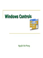 Lập trình windows C# - Windows Controls potx