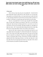 Quá trình hình thành giáo trình thiết lập lưu đồ bài toán điều khiển mô hình trong công đoạn chế biến nước tinh lọc p1 pptx