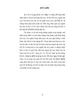 Luận văn tốt nghiệp : Mục tiêu của Việt Nam trên thị trường EU phần 4 pot