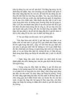 Quá trình hình thành một số vấn đề về tỷ giá hối đoái và chính sách tỷ giá hối đoái ở việt nam p3 ppsx