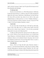 Luận văn tốt nghiệp : Điều tra hiện trạng bệnh Tristeza, bệnh vàng lá Greening và bệnh vàng lá thối rễ trên cây có múi ở Đồng Bằng Sơng Cửu Long part 3 doc