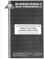 báo cáo tài chính kiểm toán 2013 kết thúc 31/12/2013 công ty cổ phần xi măng công thanh