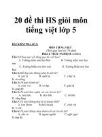 20 đề thi HS giỏi môn tiếng việt lớp 5_3 pps