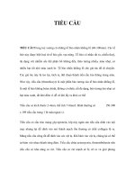 TIỂU CẦUTIỂU CẦU potx