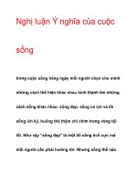 Nghị luận Ý nghĩa của cuộcsống docx