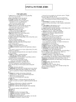 UNIT 6: FUTURE JOBS VOCABULARY pps