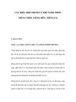 CÁC BIỂU HIỆN BỆNH LÝ KHI NGHE PHỔI: TIẾNG THỔI, TIẾNG RÊN, TIẾNG CỌ docx