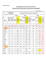 TỔNG HỢP KẾT QUẢ GIẢI NGÂN NGUỒN VỐN TPCP docx