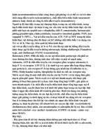 DƯỢC LÝ LÂM SÀNG part 3 potx