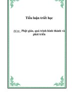 Tiểu luận triết học: Phật giáo, quá trình hình thành và phát triển pdf