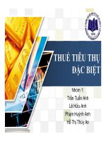 thuyết trình thuế tiêu thụ đặc biệt