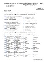 Đáp án và đề thi tốt nghiệp trung học phổ thông năm 2011 môn Tiếng Anh - Hệ 3 năm - Mã đề 392 docx