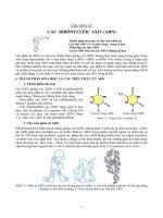CÁC RIBÔNUCLÊIC AXIT (ARN) ppsx