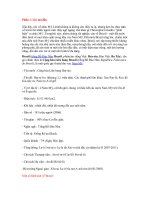 tiểu luận phân tích kinh tế brasil