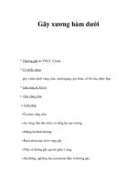 Gãy xương hàm dưới pdf