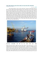 Công nghệ chống ăn mòn kết cấu thép các công trình biển ở Nhật Bản docx