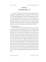 Thiết kế bể đá cây