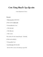 Cơn Tăng Huyết Áp cấp cứu(Acute Hypertensive Crises) ppt