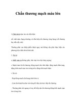 Chấn thương mạch máu lớn ppsx