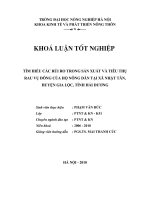 tìm hiểu rủi ro trong sản xuất và tiêu thụ rau vụ đông của hộ nông dân tại xã nhật tân, huyện gia lộc, tỉnh hải dương