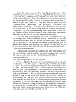 Động vật học Không xương sống part 7 potx