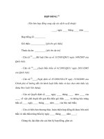 MẪU HỢP ĐỒNG (Văn bản hợp đồng cung cấp các dịch vụ kỹ thuật) pps