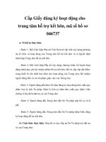 Cấp Giấy đăng ký hoạt động cho trung tâm hỗ trợ kết hôn, mã số hồ sơ 046737 docx