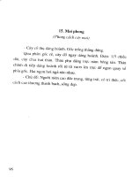 Cây thế Việt Nam nghệ thuật và đạo chơi part 5 ppt