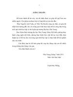 Nghiên cứu biện pháp tẩy màu cho collagen sản xuất từ da cá tra bằng phương pháp hóa học